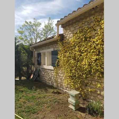 Appartement 2 Pers Avec Acces Piscine Saint-Rémy-de-Provence Eksteriør bilde