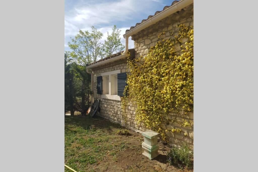 Appartement 2 Pers Avec Acces Piscine Saint-Rémy-de-Provence Eksteriør bilde